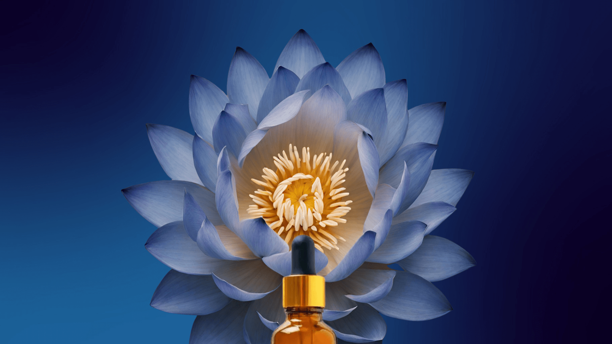 Altar Native - Lucid ✦ Blue Lotus Drops - Tincture - MaxCare Shop
