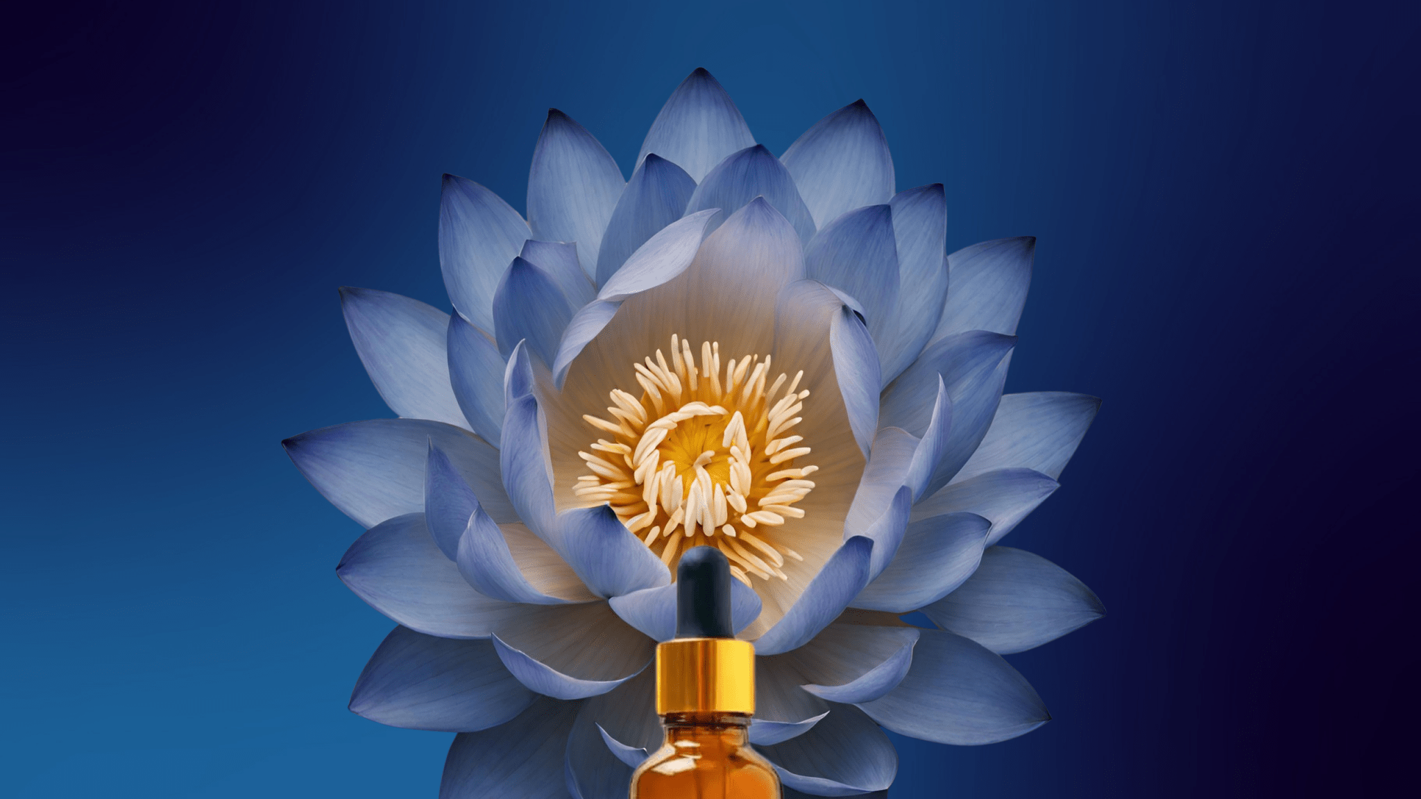 Altar Native - Lucid ✦ Blue Lotus Drops - Tincture - MaxCare Shop